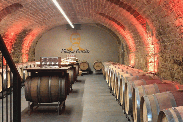 Core renovation of a wine cellar